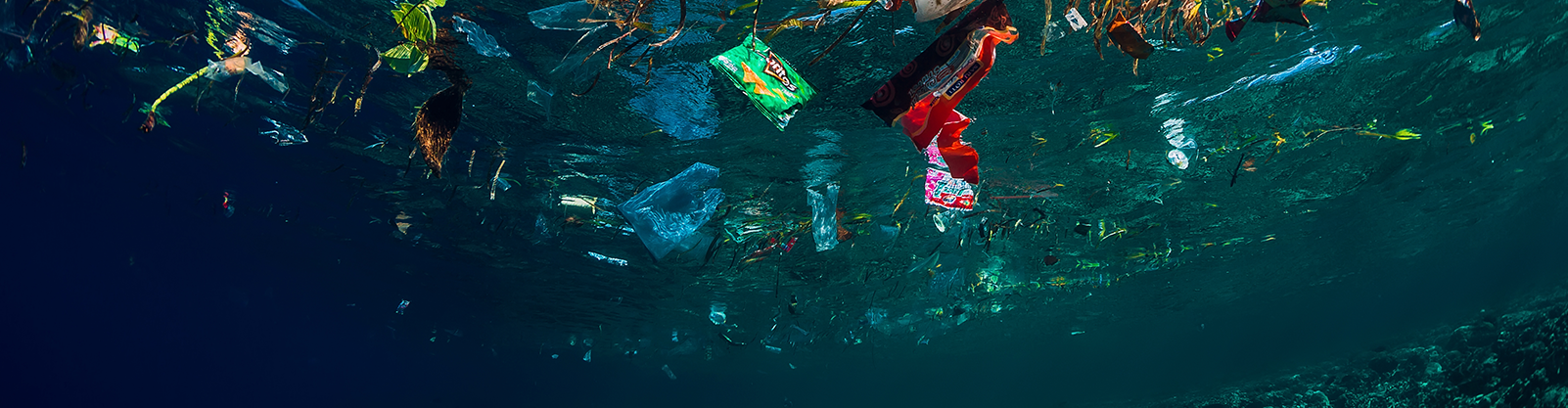 Everyday Items That Pollute Ocean and Eco-Friendly Alternatives