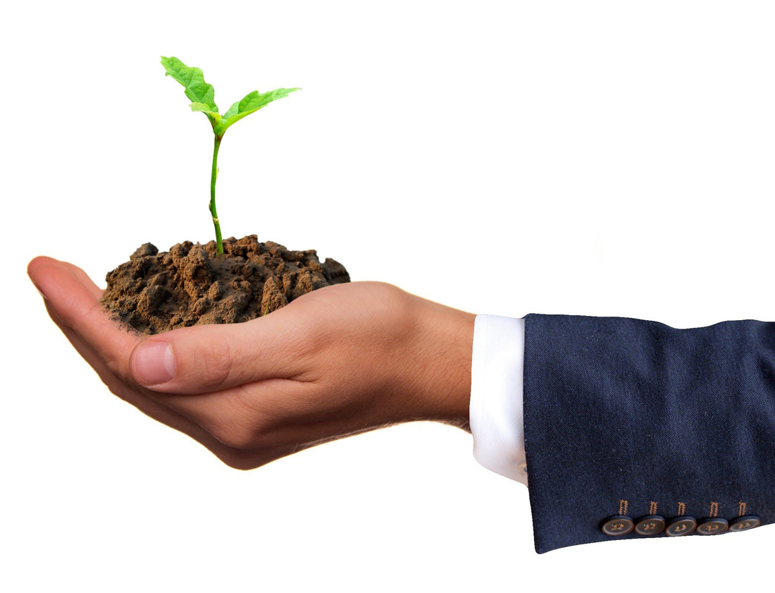 Sustainable Corporate Gifts:  Why Your Business Gifts Should Be Green