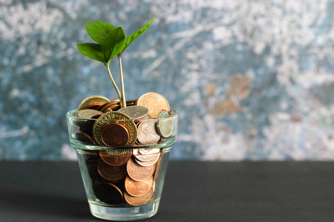 How I Saved 200 Euros per Month on Sustainability