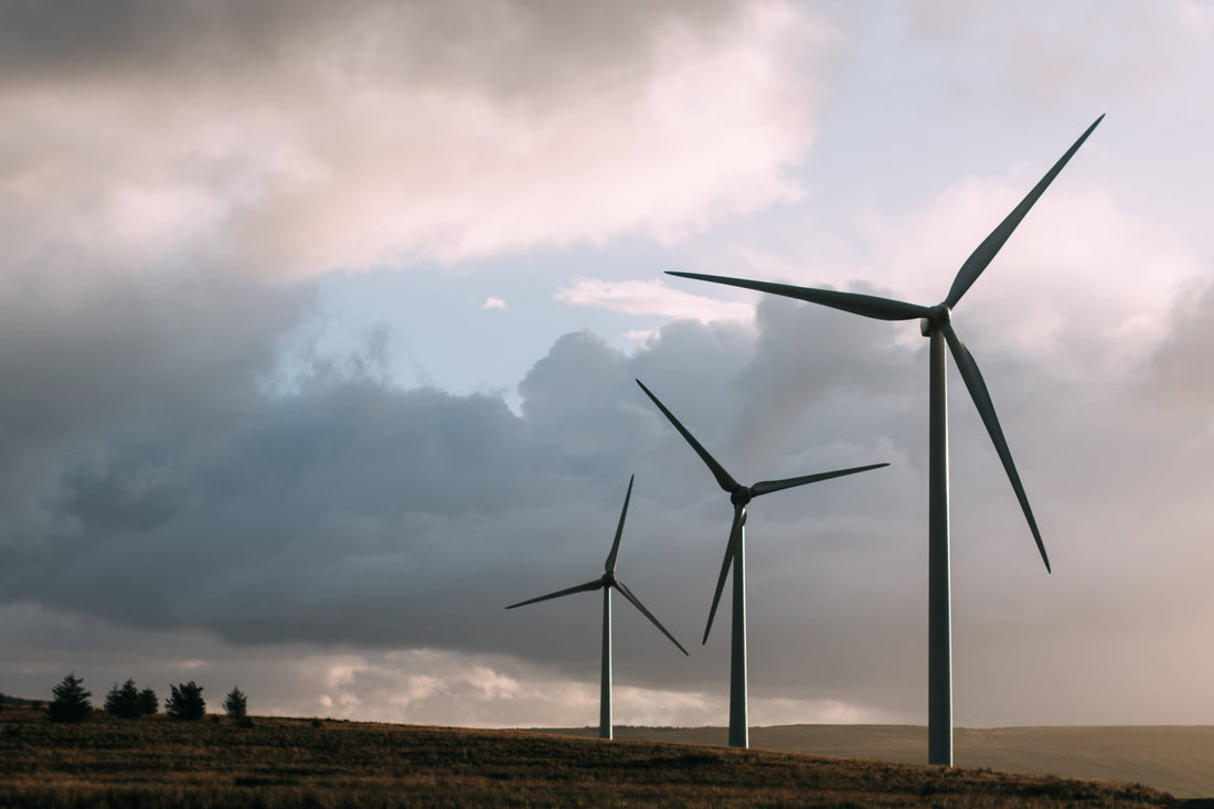 What is sustainability?