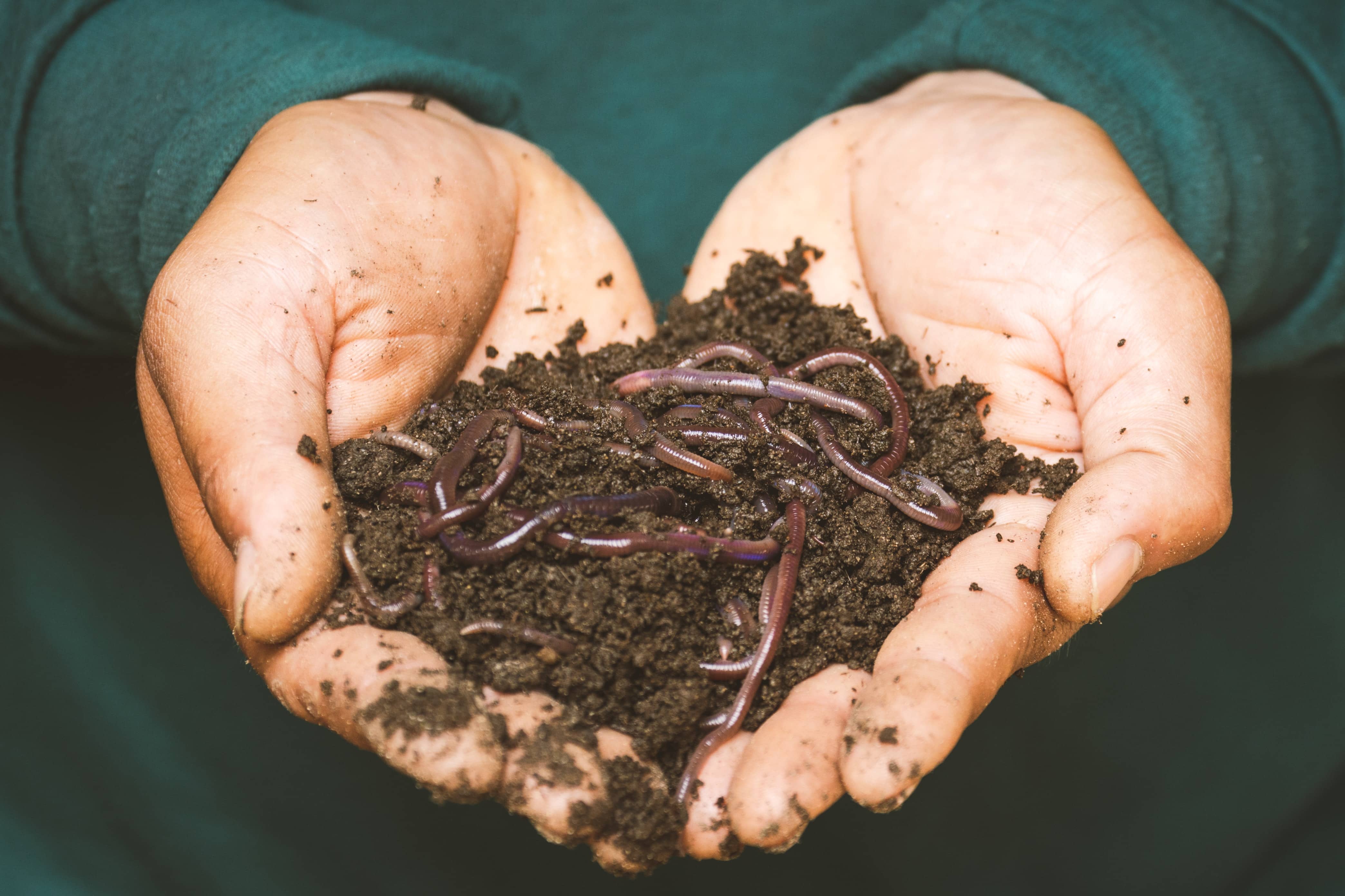 How to be more sustainable