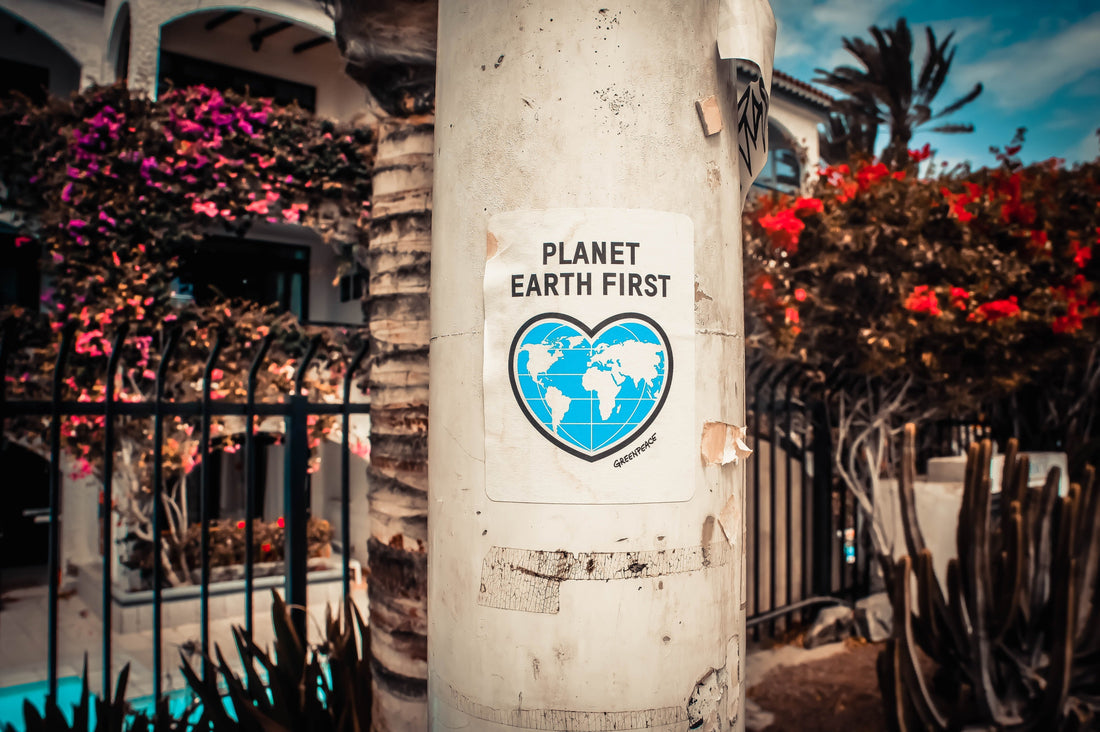 26 Small Ways To Help The Environment